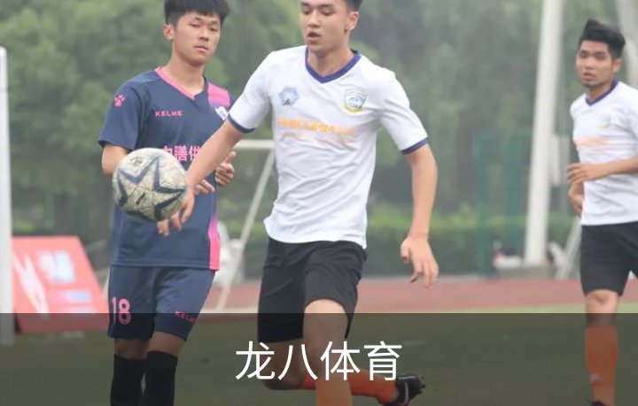 走进龙八体育